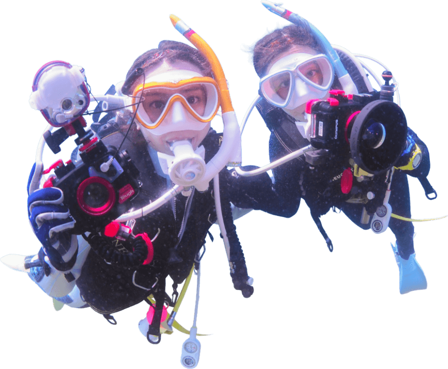 ダイビング中の写真