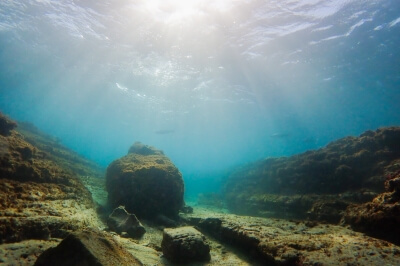 水中から見た水面の写真