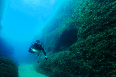 ダイビング中の写真