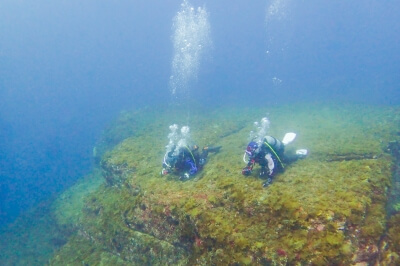 ダイビング中の写真