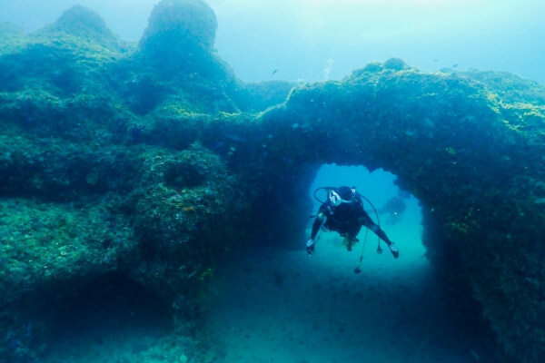 ダイビングをしている水中の写真