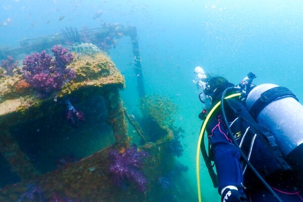 ダイビングをしている水中の写真