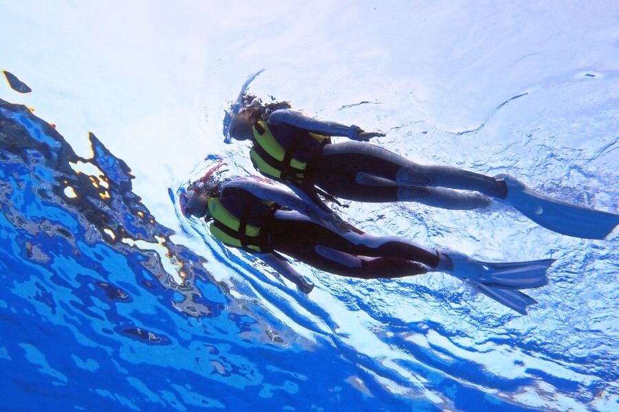 水面を並んで泳ぐ2人組の写真の写真