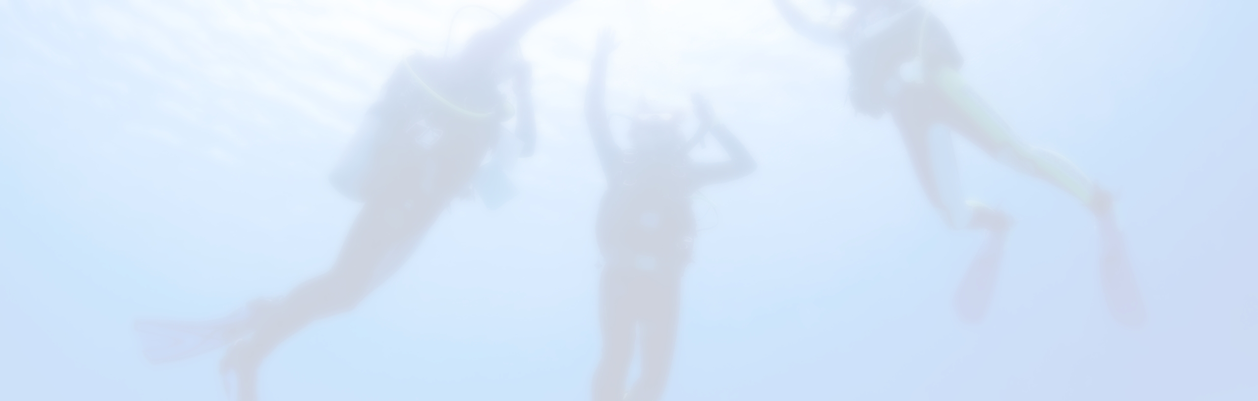 水中で円になって集まる3人のダイバー