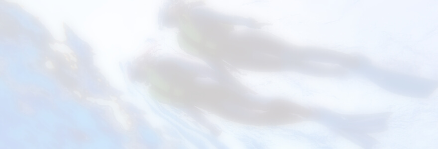 シュノーケリング中の写真