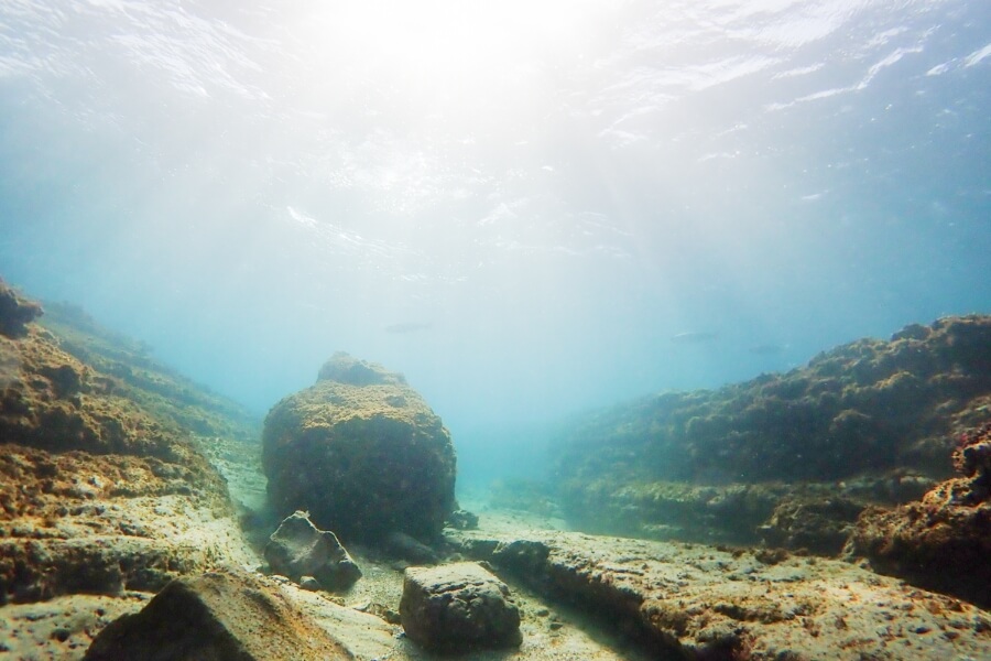 水中から見た水面の写真