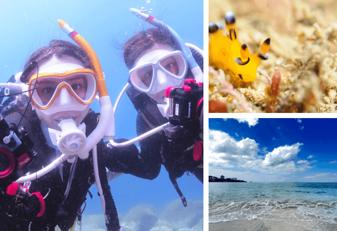 フィッシャーマンズ・ワーフ白浜で体験することがができるアクティビティの写真