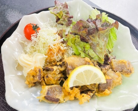 しらす釜揚げ丼