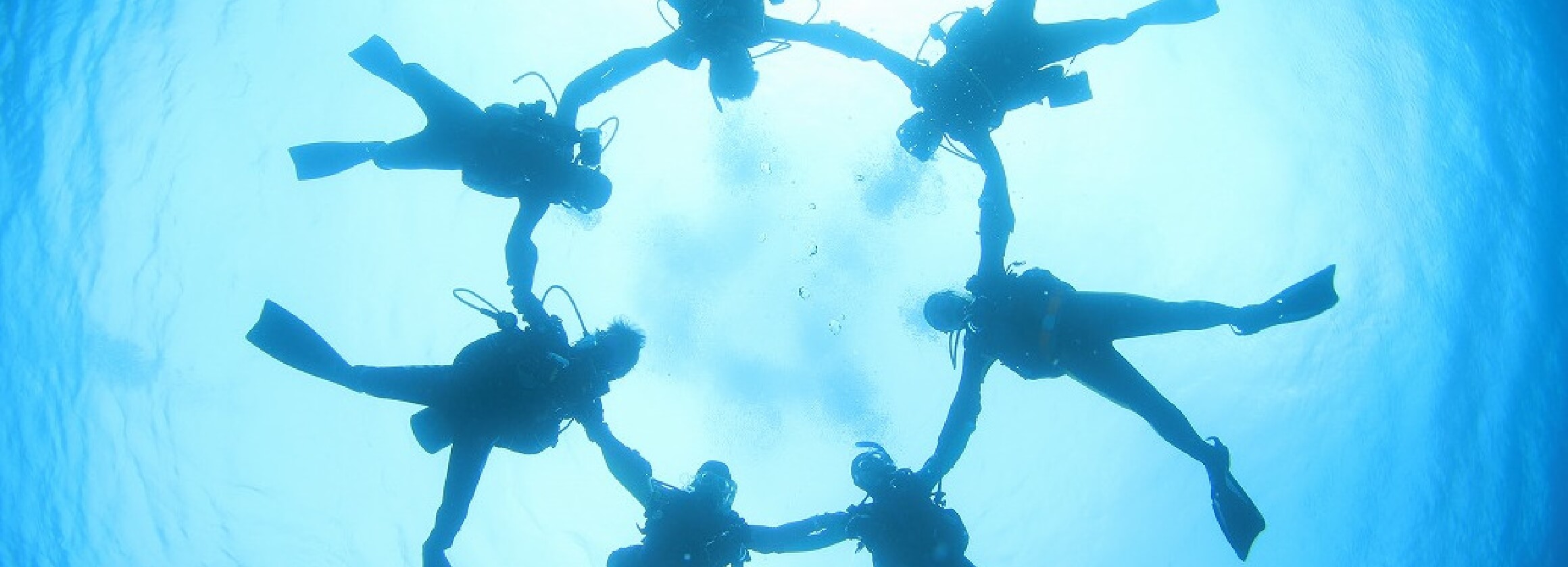 ダイビング中の写真