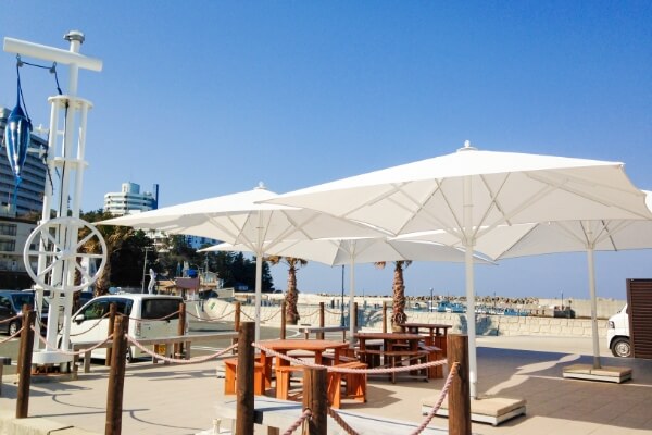 ランチが取れる場所の写真