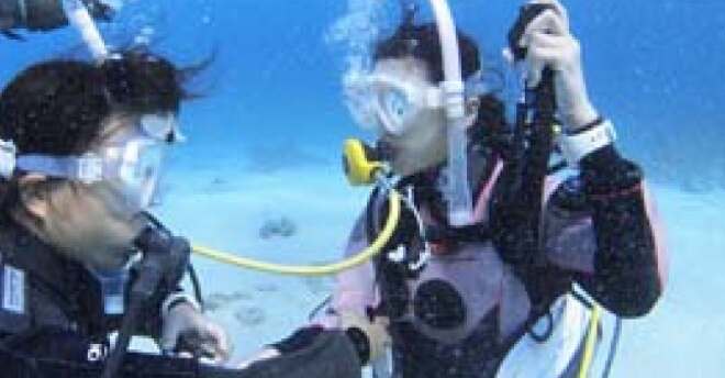 ライセンス講習中の写真