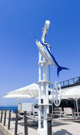 南紀白浜の写真