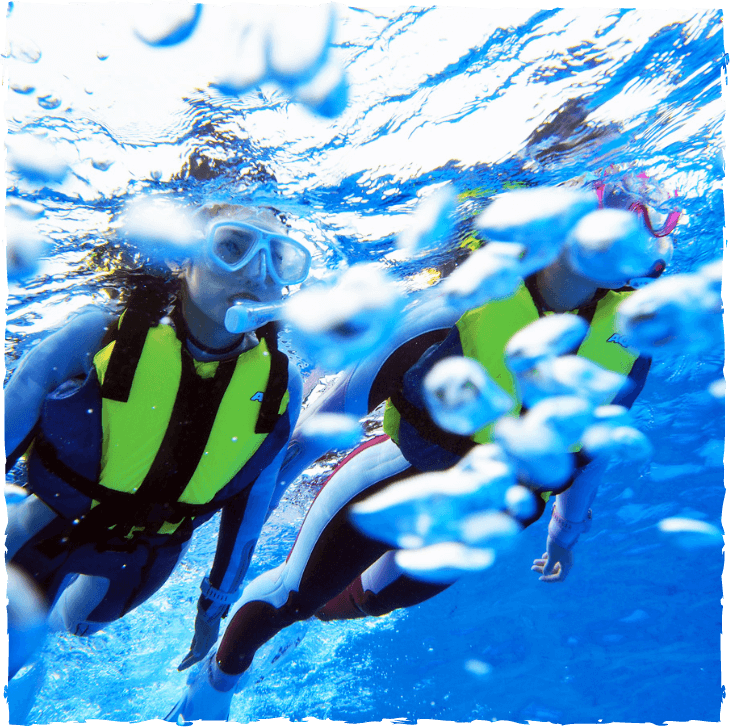 シュノーケリング中の写真