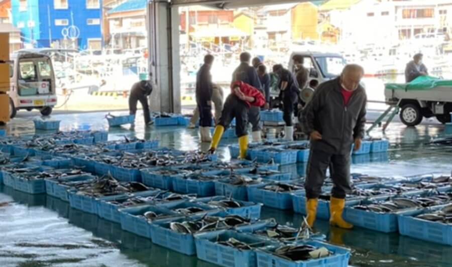 朝の市場の写真