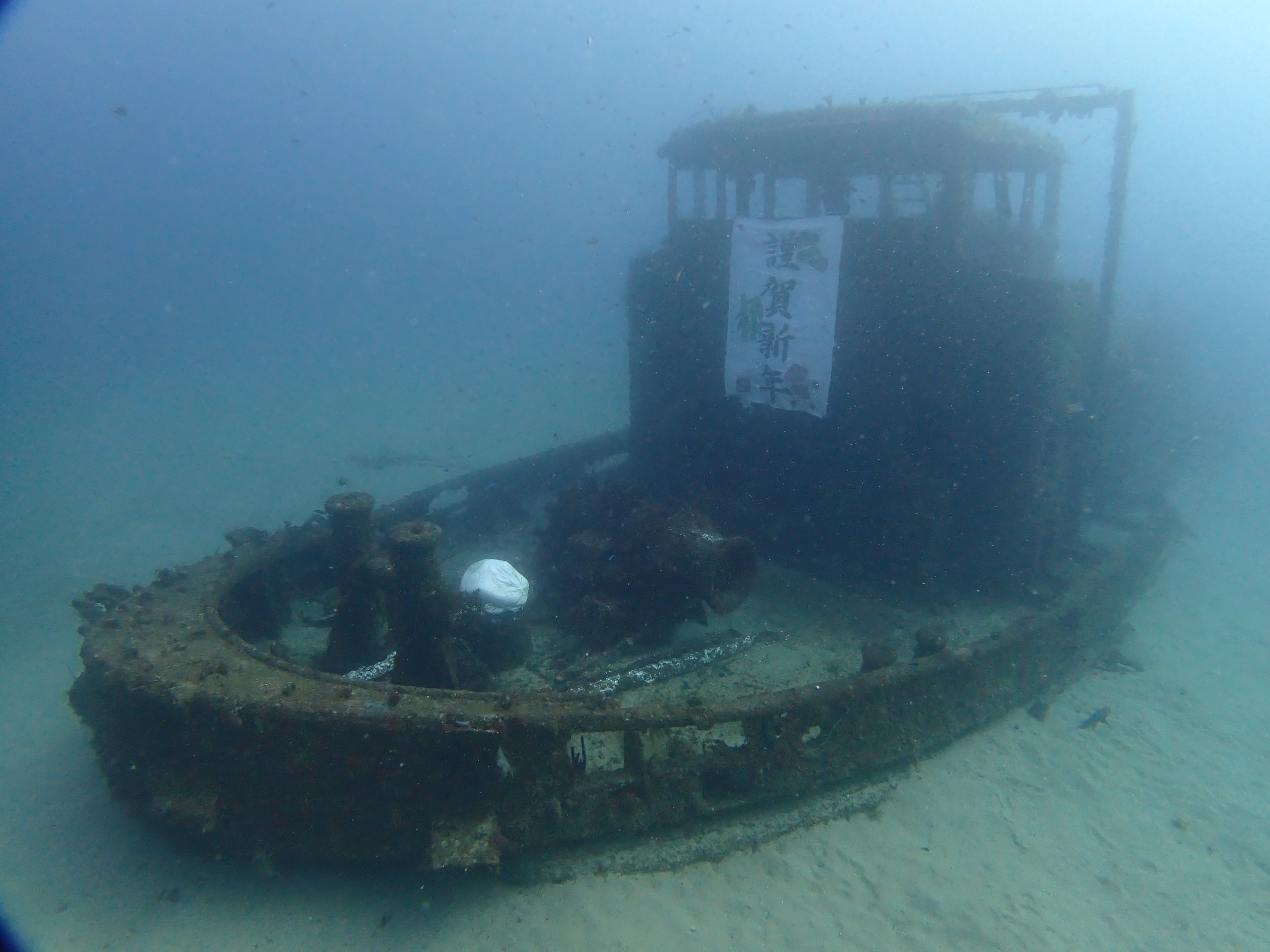 新年、明けましておめでとうございます。