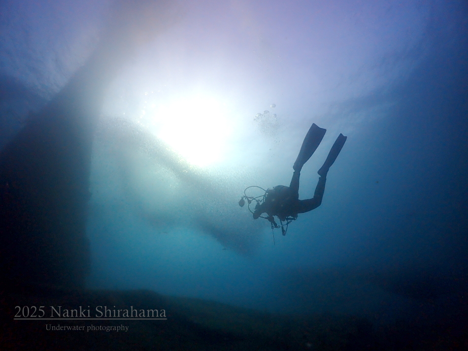 冬の白浜で、海の“静寂”と“透明”を潜る